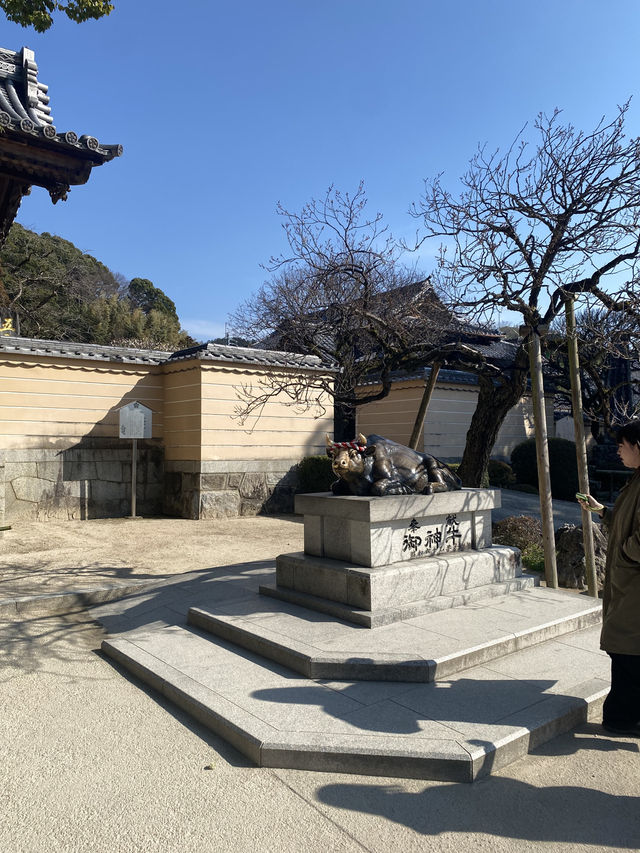 Dazaifu Tenmangu ขอพรเรื่องเรียนในบรรยากาศญี่ปุ่น