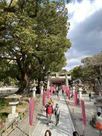 Dazaifu Tenmangu ขอพรเรื่องเรียนในบรรยากาศญี่ปุ่น