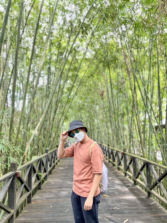 【Mulu Adventure：走进砂拉越的奇幻之境】 🌏⛰️🦇🌿