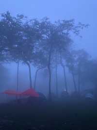 อุทยานแห่งชาติไทรทอง ทุ่งบัวสวรรค์