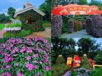 ภูเขาชิงซิ่ว "ปอดแห่งหนานหนิง" (Qingxiu Mountain) 