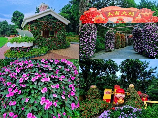 ภูเขาชิงซิ่ว "ปอดแห่งหนานหนิง" (Qingxiu Mountain) 