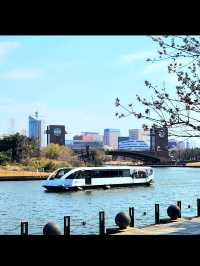 水と緑に癒される富山のオアシス🌿 富岩運河環水公園で過ごす静かな時間