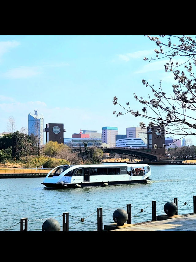 水と緑に癒される富山のオアシス🌿 富岩運河環水公園で過ごす静かな時間