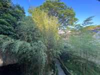 🌿 Canglang Pavilion 沧浪亭 — Suzhou’s Oldest Garden with Timeless Serenity 