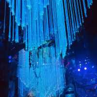 Aqua Planet Yeosu: An Immersive Journey into the Underwater World