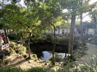 🌸 Exploring the Jiangnan Region – Nanjing, Wuxi, Suzhou & Shanghai in 6 Days!