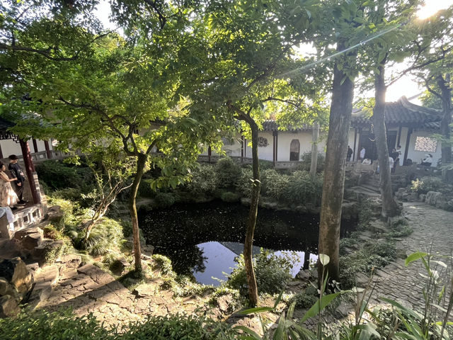 🌸 Exploring the Jiangnan Region – Nanjing, Wuxi, Suzhou & Shanghai in 6 Days!