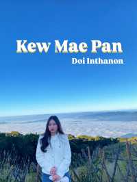 กิ่วแม่ปาน-ดอยอินทนนท์
