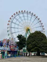 日本絕景🇯🇵在粉蝶花💜🤍海裡當一回宮崎駿主 角  
