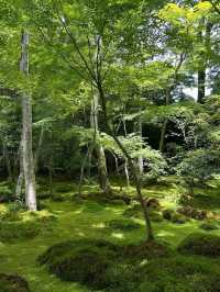 Kennin Ji