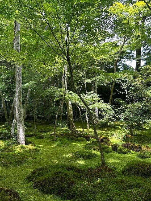 Kennin Ji