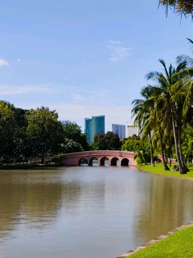 🌳 : Chatuchak Park สวนจตุจักร กรุงเทพมหานคร