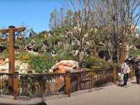 The Mesmerizing Fantasy springs in Tokyo Disney Sea