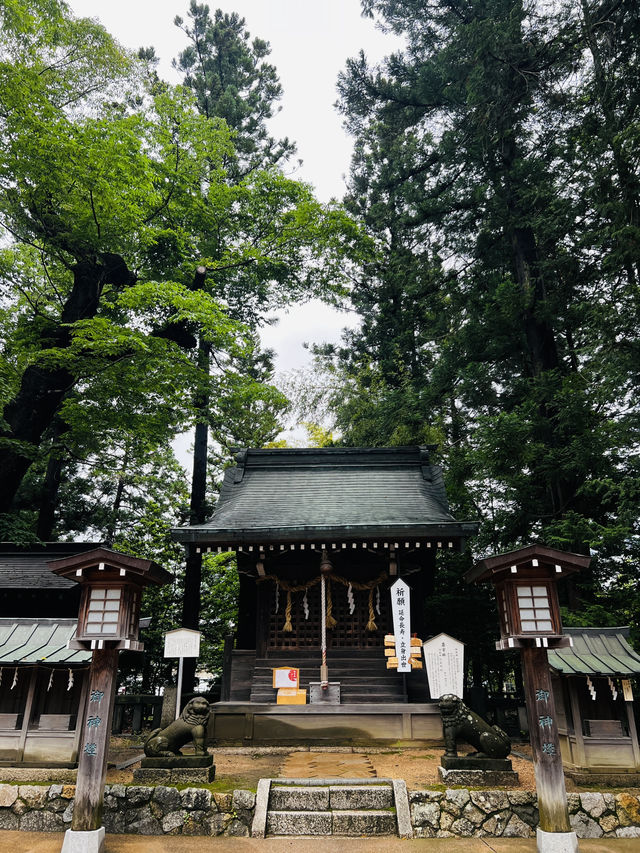 「自然の中で、心が静かに整っていく。」そんな不思議な体験、最近いつしましたか？