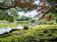 東京 | 清澄庭園賞花，以名石奇岩著稱的日式庭園