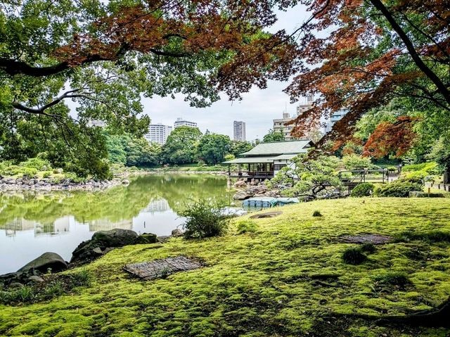 東京 | 清澄庭園賞花，以名石奇岩著稱的日式庭園