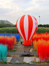 Move to Mountain Garden Cafe