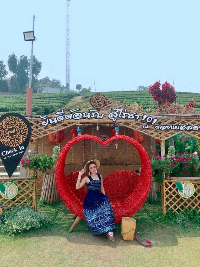 ดอยแม่สลอง จังหวัดเชียงราย
