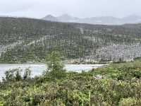 🌲🌊 Mugecuo Lake (木格措) — Highland Gem Near Kangding