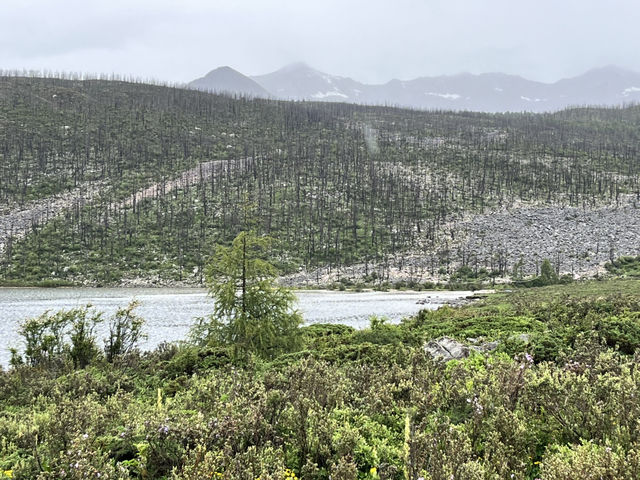 🌲🌊 Mugecuo Lake (木格措) — Highland Gem Near Kangding