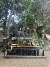 春日大社：在奈良感受神社的靈氣，探訪自然與文化的和諧交融！