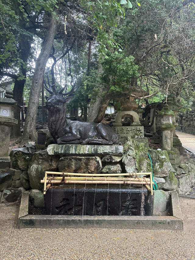 春日大社：在奈良感受神社的靈氣，探訪自然與文化的和諧交融！