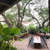 ✨🌱DAYDREAMING CAFE KHAOYAI 
