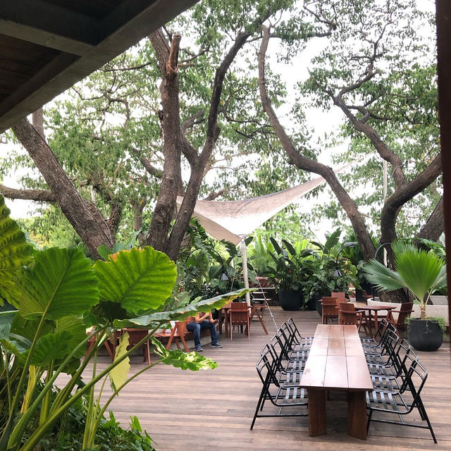 ✨🌱DAYDREAMING CAFE KHAOYAI 