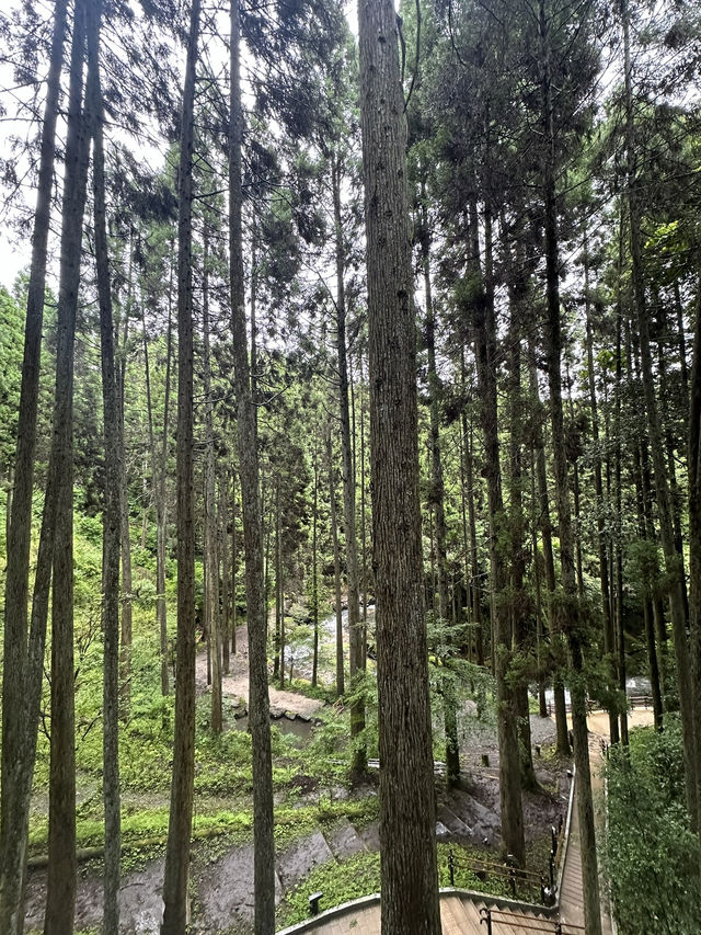 ♨️黑川溫泉＋秘境瀑布小旅行｜超放鬆溫泉鄉＋森林秘景打卡點 🏞️
