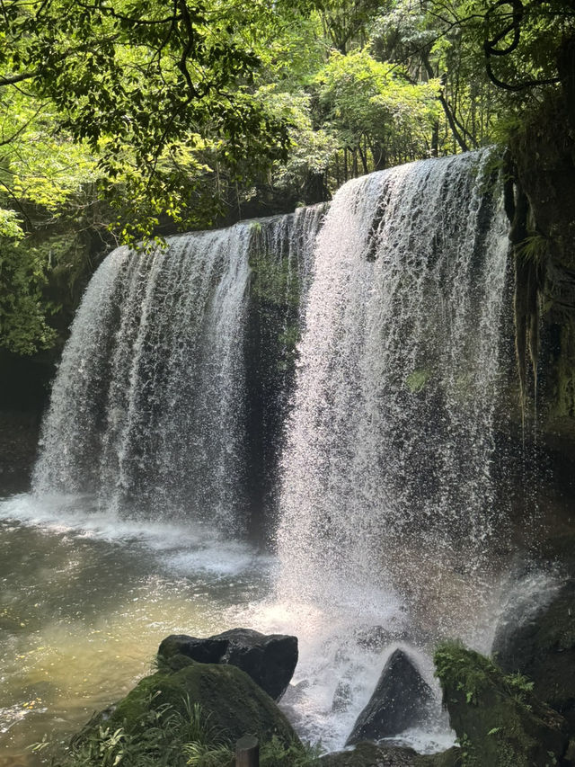 福岡🇯🇵周邊一日行程