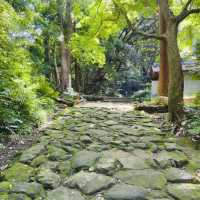 Conquering the Sacred Summit: A Solo Summer Hike Up Mount Jinmu-ji, Kanazawa