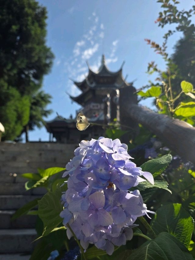 Zhangjiajie National Forest Park rocks!! 🏞