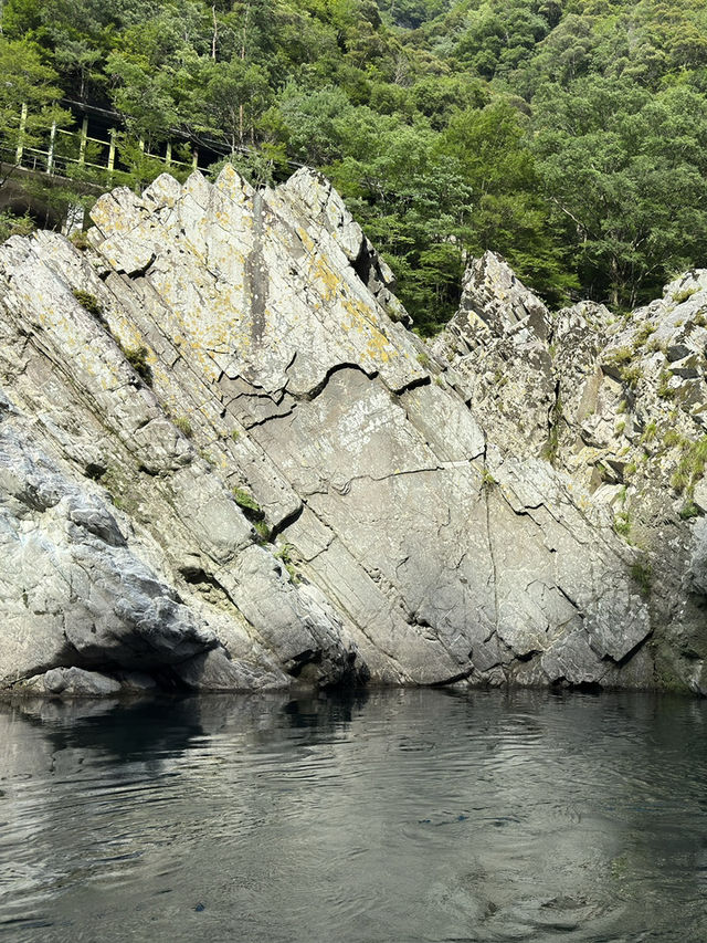 四國｜大步危峽觀光遊覽船｜激流中的自然震撼