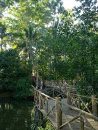 Monkey Business & Jungle Feels