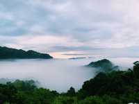 「在休閒農場裡露一宿，與自然共眠的綠色假期」 🌿🌌⛺️