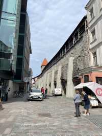 🛳️✨ 헬싱키에서 떠나는 동화 속 하루 여행 Tallinn 당일치기 투어 가이드 🇪🇪💙