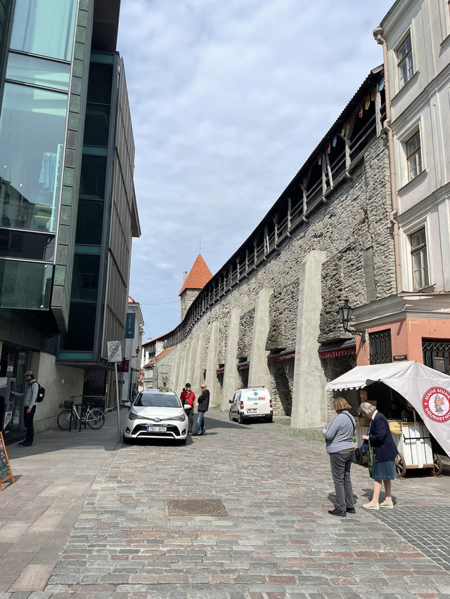 🛳️✨ 헬싱키에서 떠나는 동화 속 하루 여행 Tallinn 당일치기 투어 가이드 🇪🇪💙