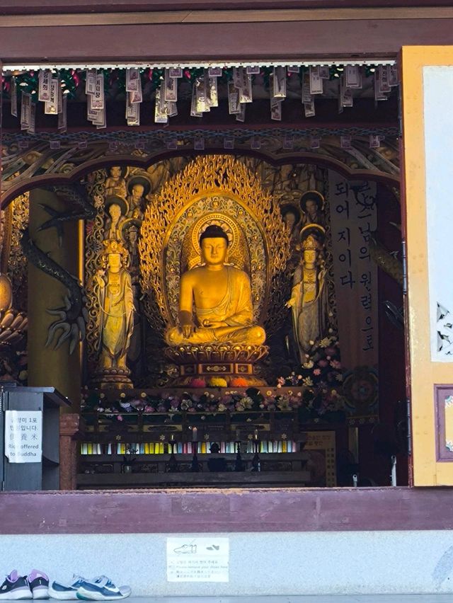 韓國 濟州島 西歸浦 藥泉寺 東亞最大的佛教寺廟之一 獨特的住宿計畫