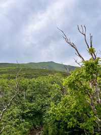 【北海道利尻島】北の最果て利尻山⛰️