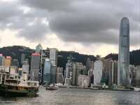 Harbour lights and city nights: Victoria Harbour view