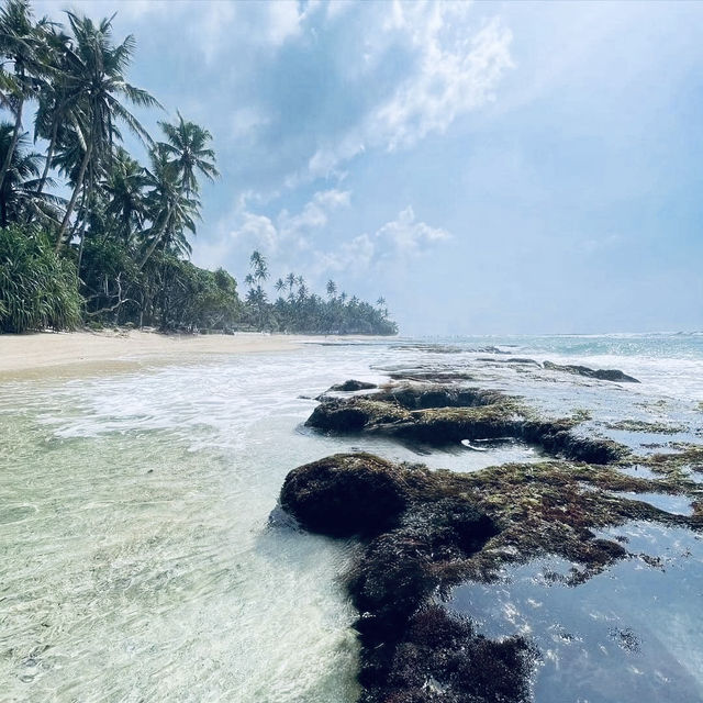 🌴 Solo Escape: Talpe Beach – Sri Lanka’s Secret Southern Gem