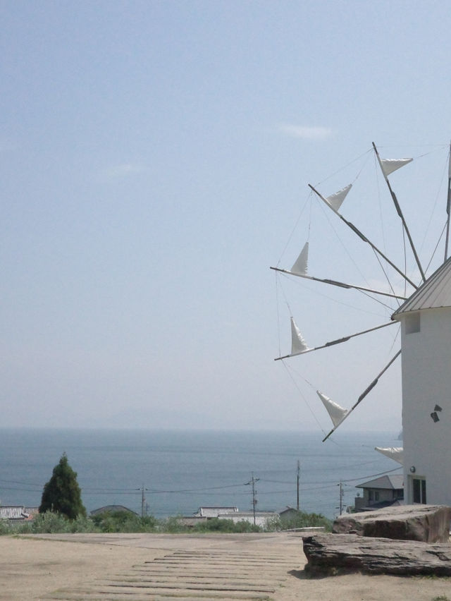 【小豆島】オリーブ🫒の緑と青空と白のコントラストが美しき！
