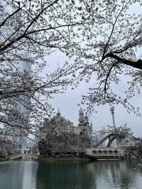 Seoul in April