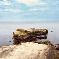 Coastal Serenity & Hidden History: A Solo Explorer’s Day in Yokosuka’s Best Parks"** 🌊🌳