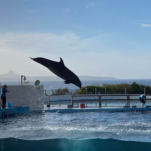 沖繩景點行程分享 必遊水族館 美國村 