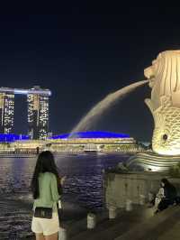 Sg trip🇸🇬