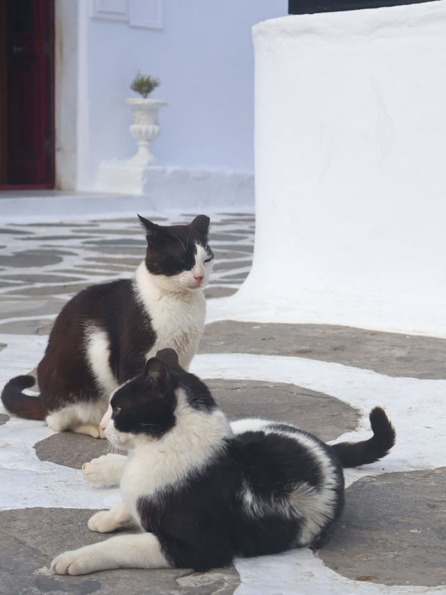 🇬🇷ミコノス島