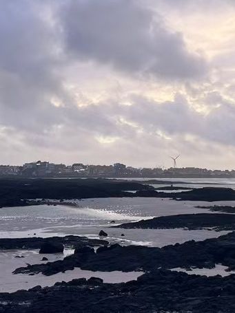 🌊 Jeju Island Bliss — Seaside Walks & Soulful Bites 🍲⛅