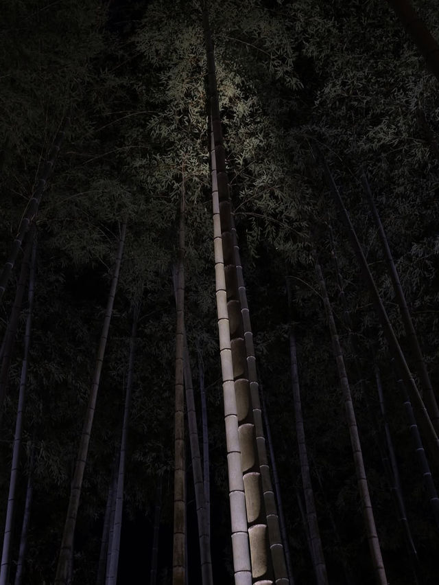 【竹林の小径】風が奏でる癒しの音🎋嵐山で心ほどけるひととき
